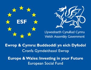 SKILLS GROWTH WALES: FUNDING FOR TRAINING